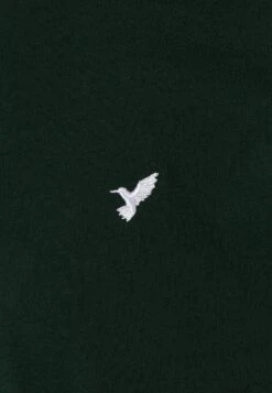 Pier One 5 Pack - T-Shirts - White/Ark Green/Blue -Pier One 19822f95d4c243b5a7cfa8d503e23581